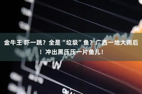 金牛王 吓一跳？全是“垃圾”鱼？广西一地大雨后！冲出黑压压一片鱼儿！