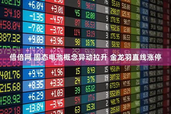 倍倍网 固态电池概念异动拉升 金龙羽直线涨停
