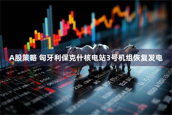 A股策略 匈牙利保克什核电站3号机组恢复发电